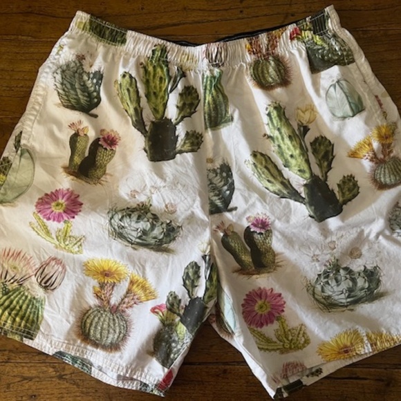 Men's / Unisex - Converse - Desert Sand Cactus Multi Print Resort Shorts - L - Picture 2 of 15